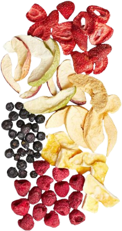 freeze-dried-fruit